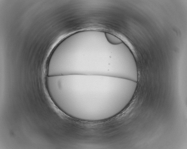 X0000111801099200908061153