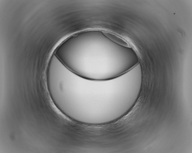 X0000111801100200908061153