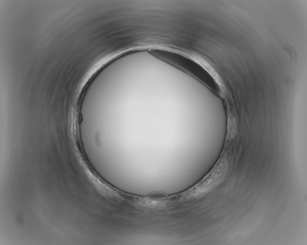 X0000111801101200908061153