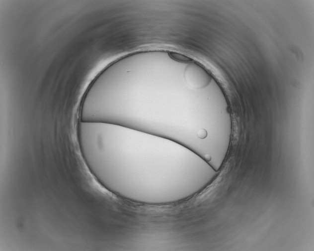 X0000111801102200908061153