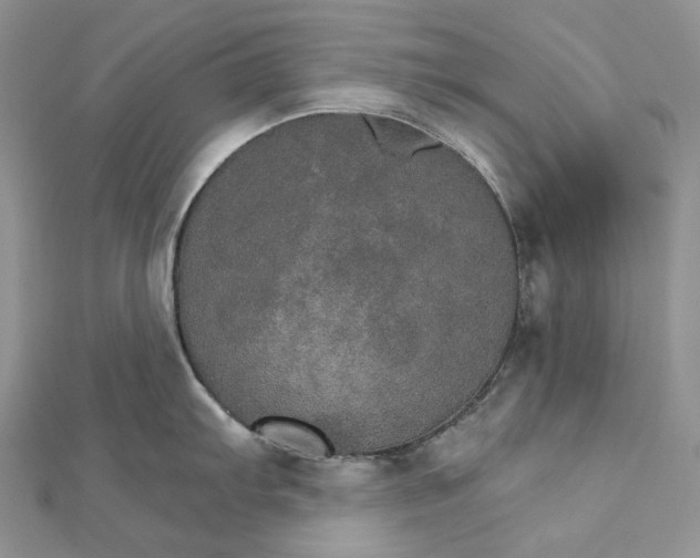 X0000111801103200908061153