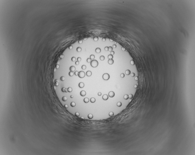 X0000111801105200908061152