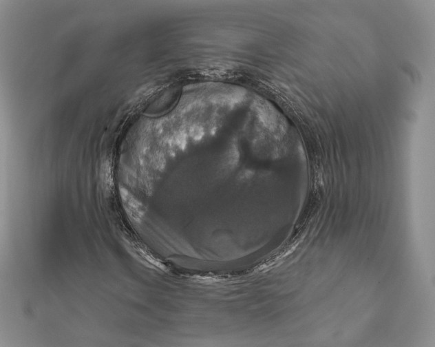 X0000111801106200908061152