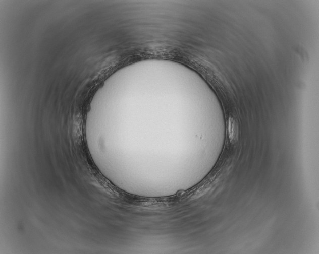 X0000111801107200908061152