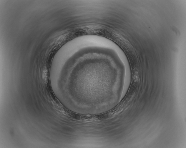 X0000111801108200908061152