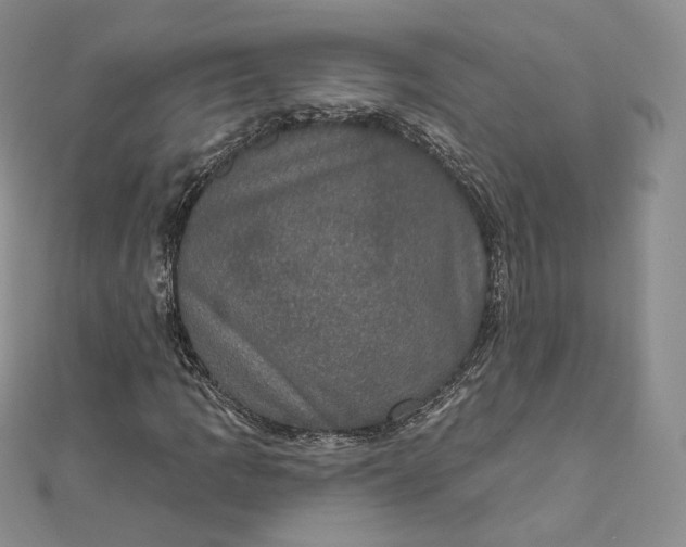 X0000111801109200908061152