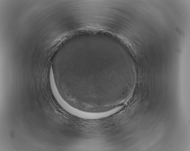 X0000111801110200908061152