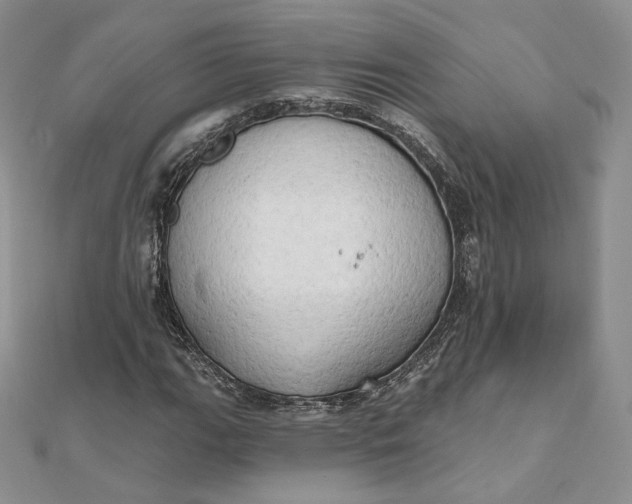 X0000111801111200908061152