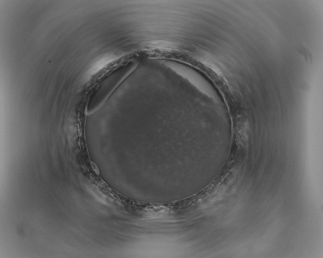 X0000111801112200908061152