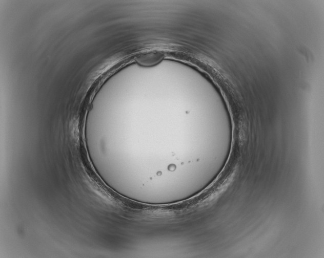 X0000111801113200908061152