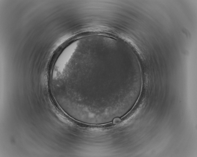 X0000111801114200908061152