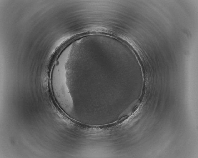 X0000111801115200908061152