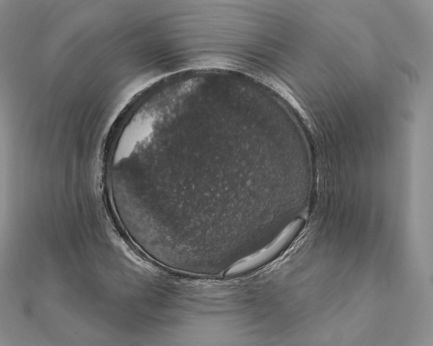 X0000111801116200908061152