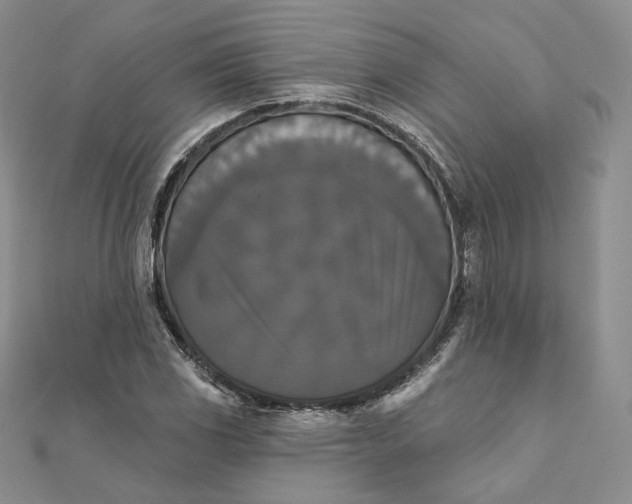 X0000111801117200908061152