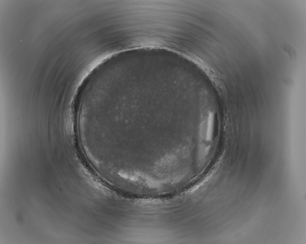 X0000111801118200908061152