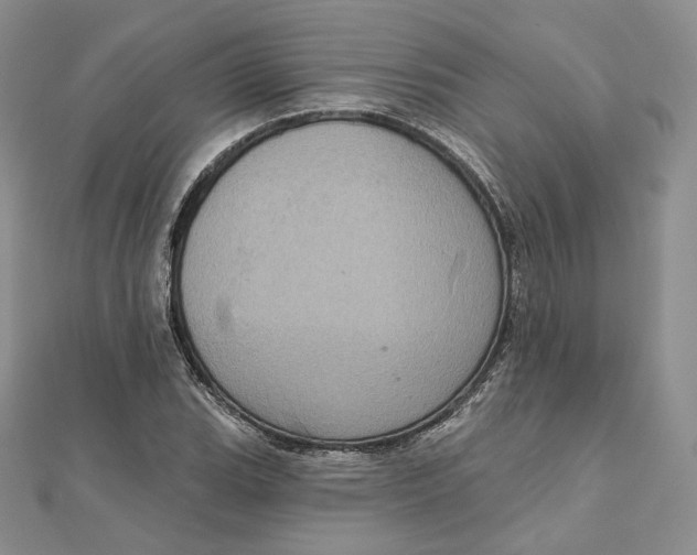 X0000111801119200908061152