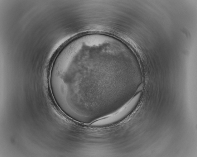 X0000111801120200908061152