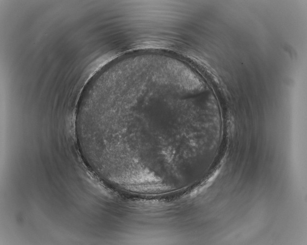 X0000111801121200908061152