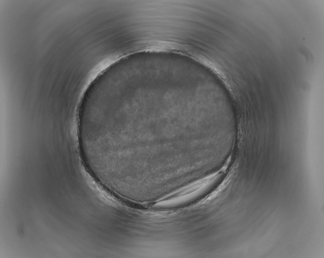 X0000111801122200908061152