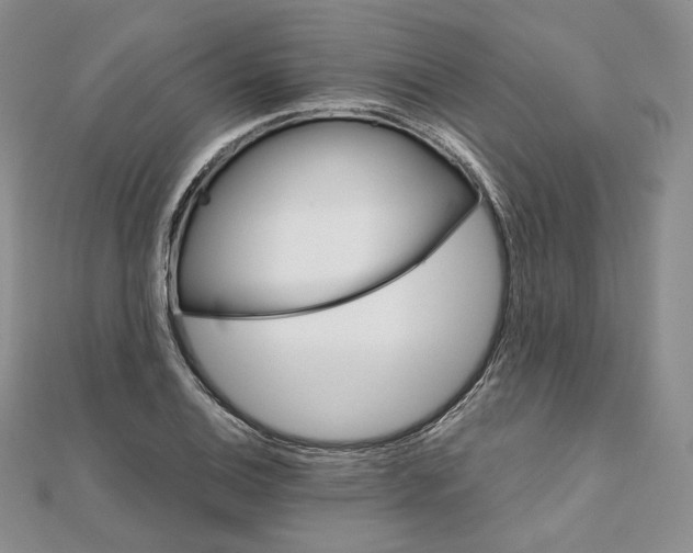 X0000111801124200908061152