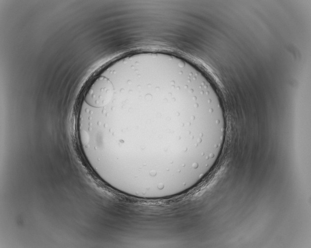 X0000111801125200908061152