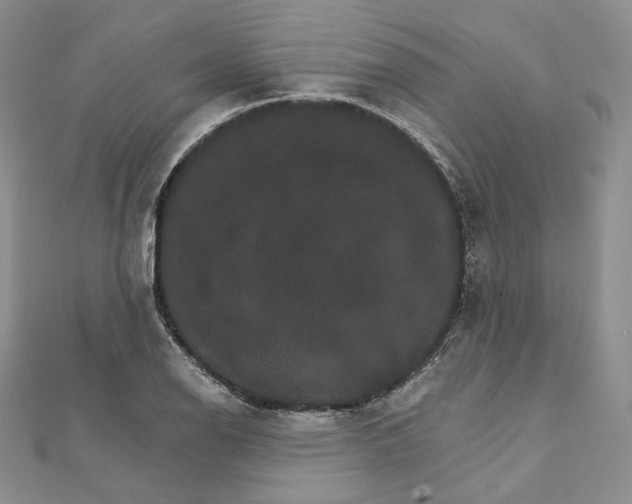 X0000111801126200908061152