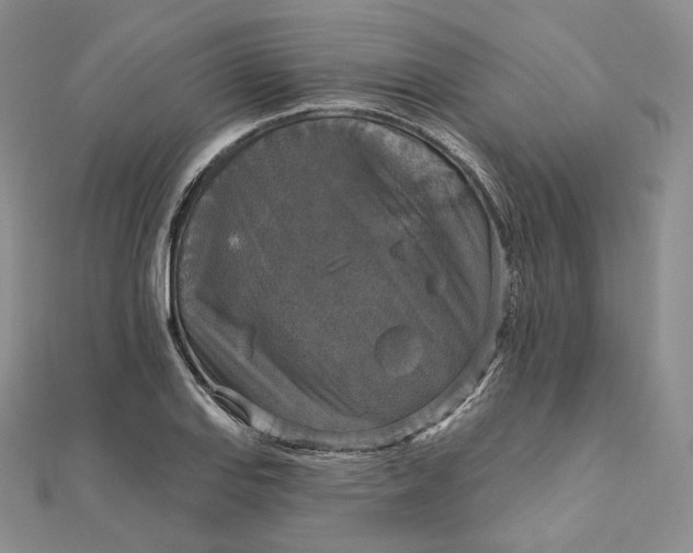 X0000111801127200908061152