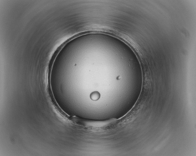 X0000111801128200908061152