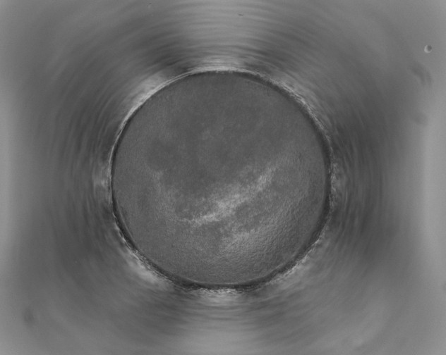 X0000111801129200908061152