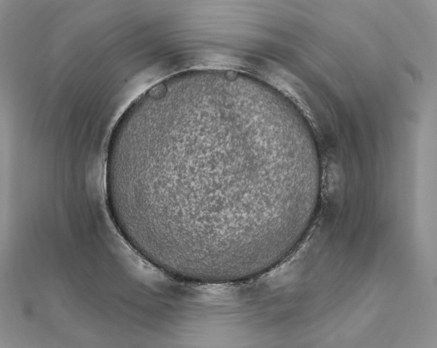 X0000111801130200908061152