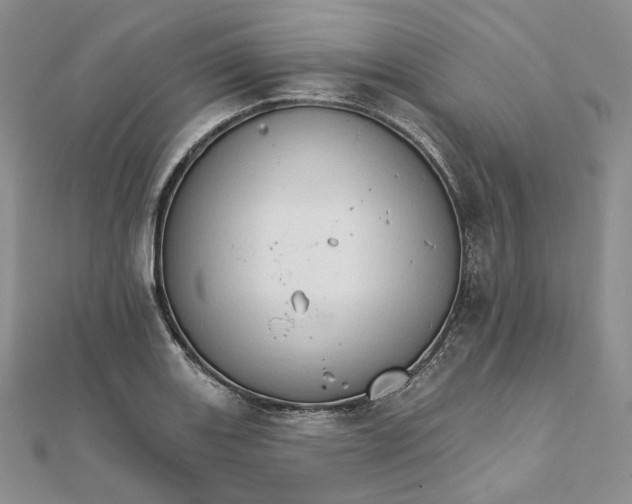 X0000111801131200908061152