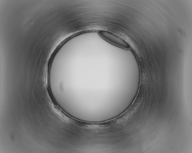 X0000111801132200908061152