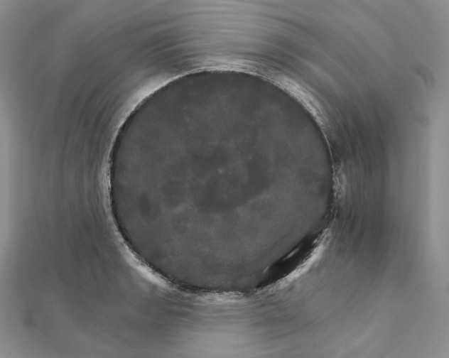 X0000111801133200908061152