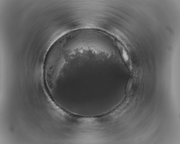 X0000111801134200908061152