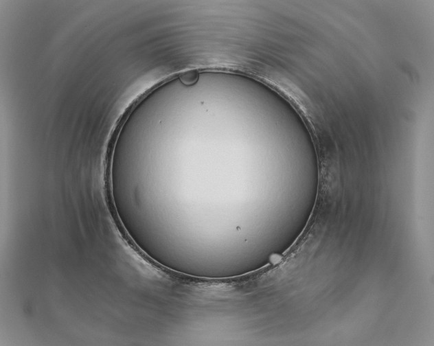 X0000111801135200908061152