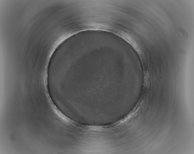 X0000111801136200908061152