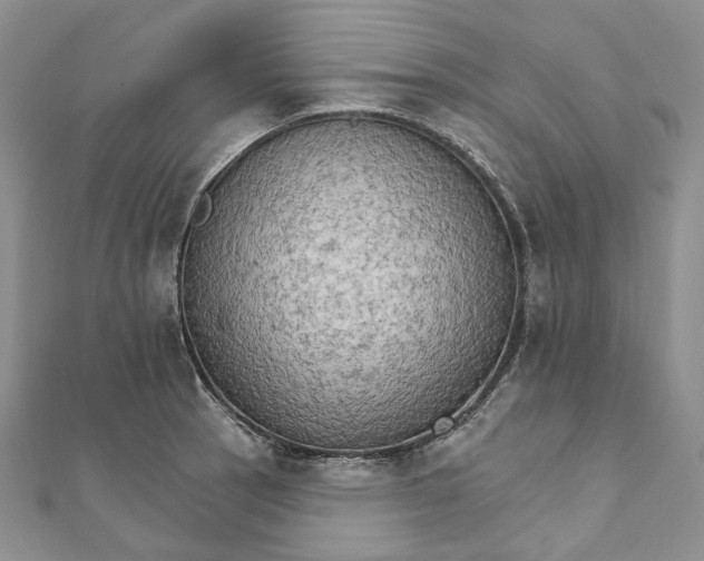 X0000111801137200908061152