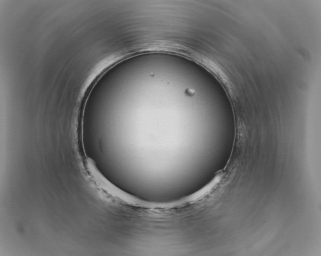 X0000111801138200908061152