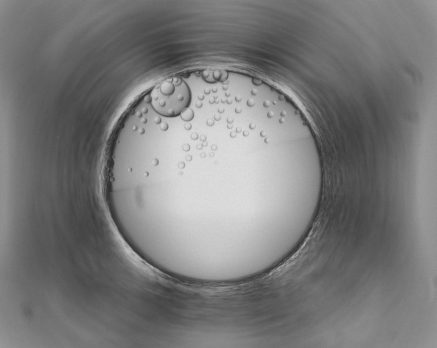 X0000111801139200908061152