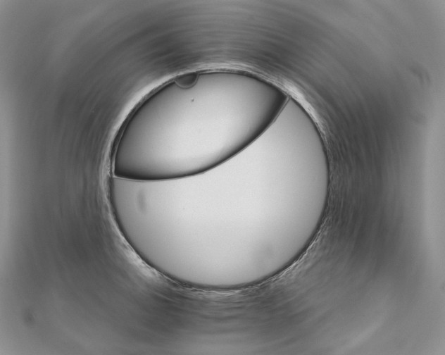 X0000111801140200908061152