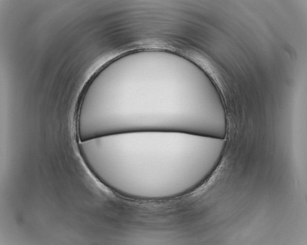 X0000111801141200908061152