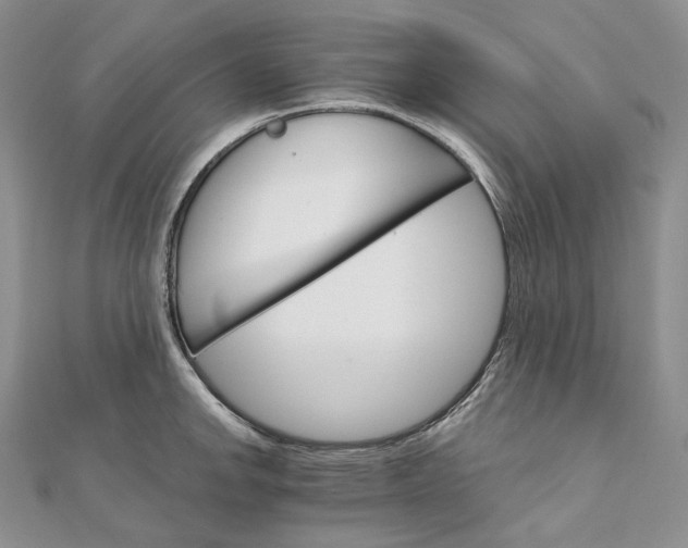 X0000111801142200908061152