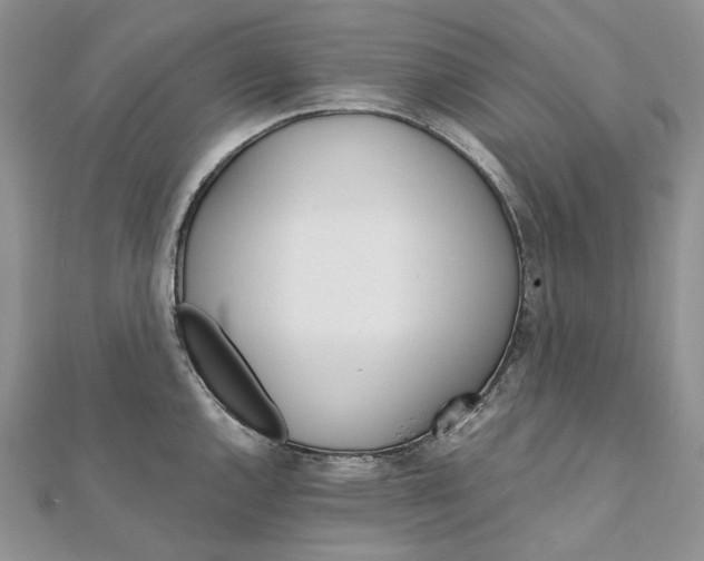 X0000111801144200908061152