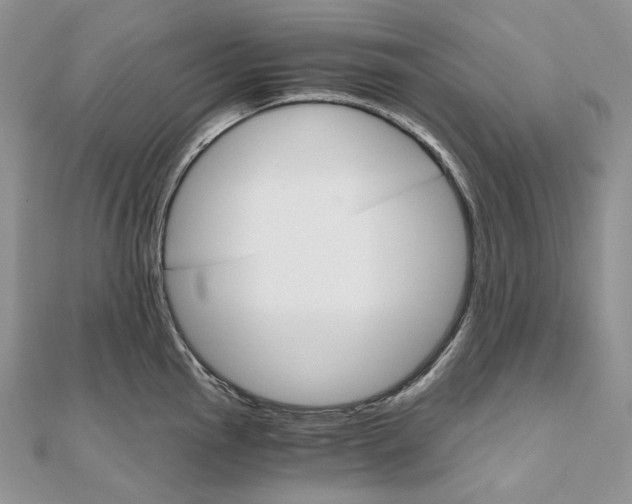 X0000111801145200908061152