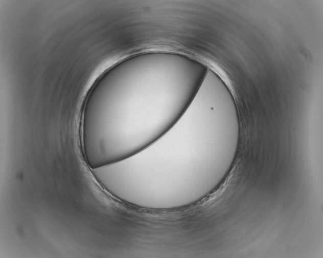 X0000111801146200908061152