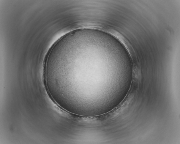 X0000111801147200908061152