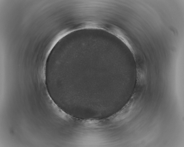 X0000111801148200908061152