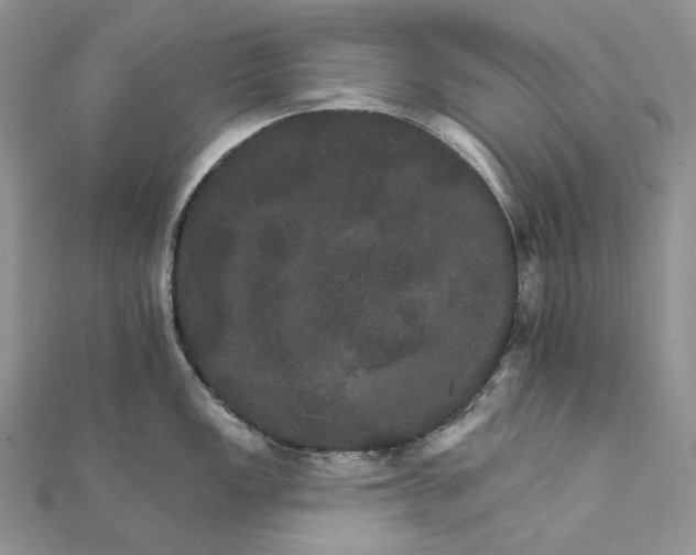 X0000111801149200908061152