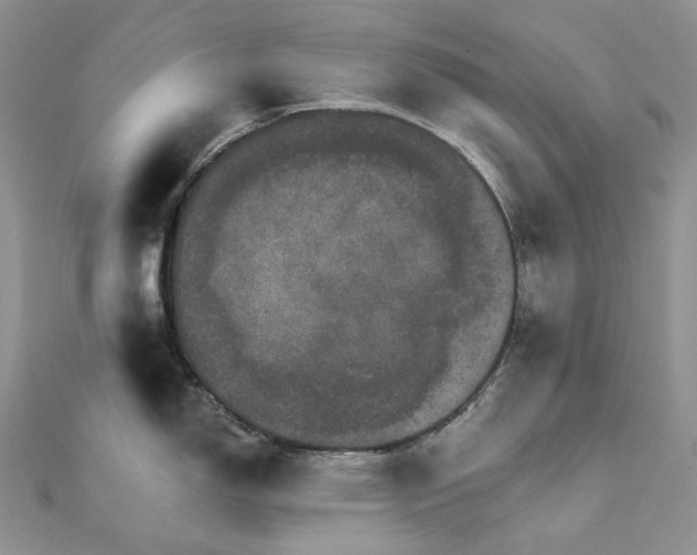 X0000111801150200908061152