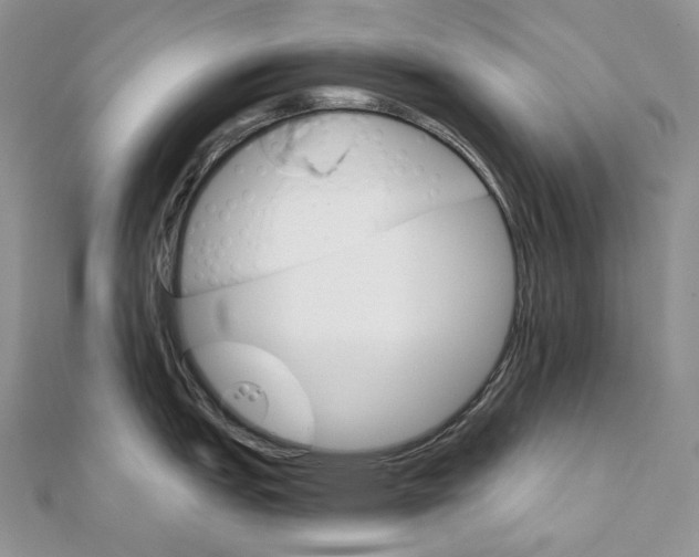 X0000111801151200908061153